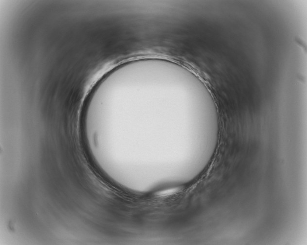 X0000096440248200801241124