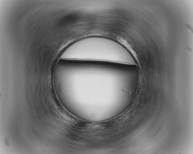 X0000096440249200801241124