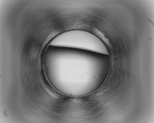 X0000096440250200801241124