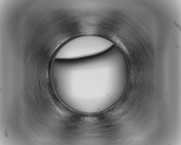 X0000096440251200801241124