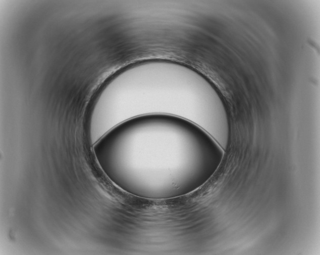 X0000096440252200801241124