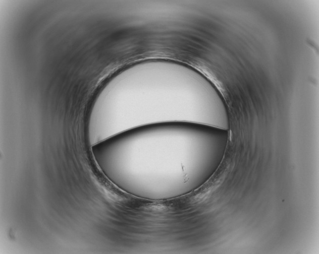X0000096440253200801241124