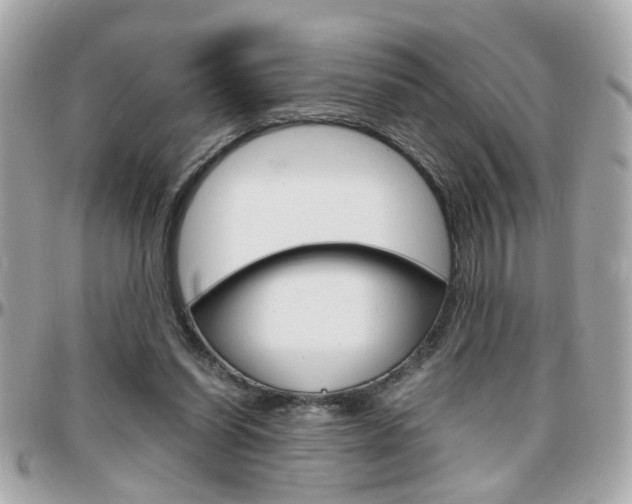 X0000096440254200801241124