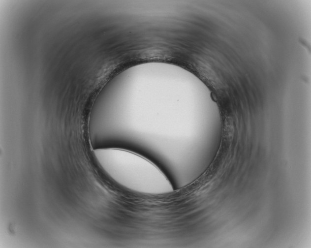 X0000096440255200801241124