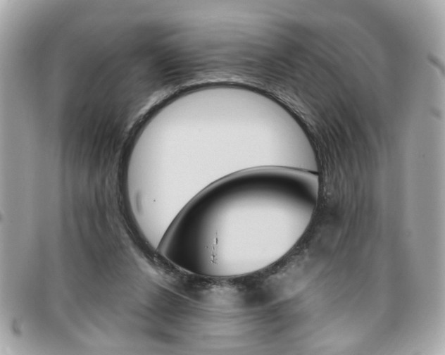 X0000096440256200801241124