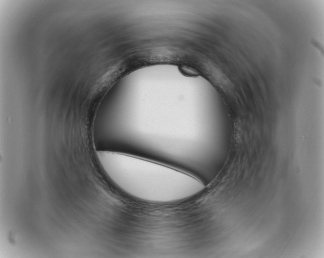 X0000096440258200801241124