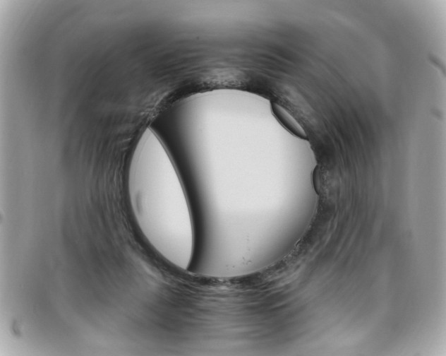 X0000096440259200801241124
