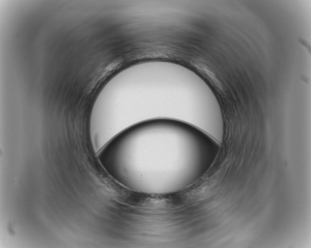 X0000096440260200801241124