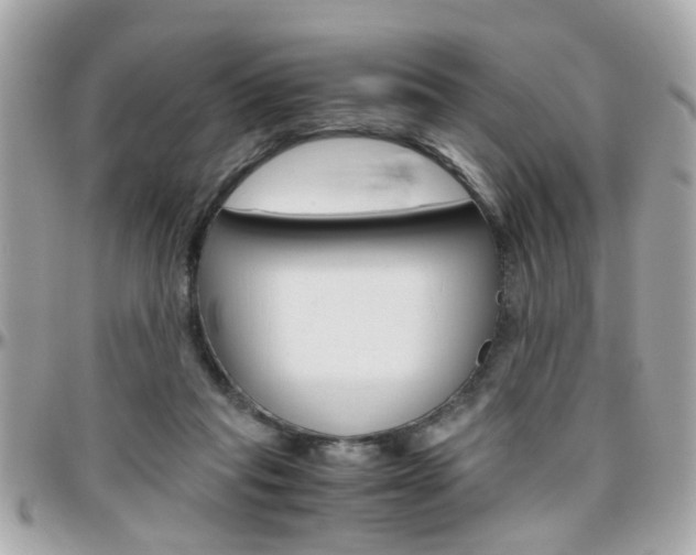X0000096440261200801241124