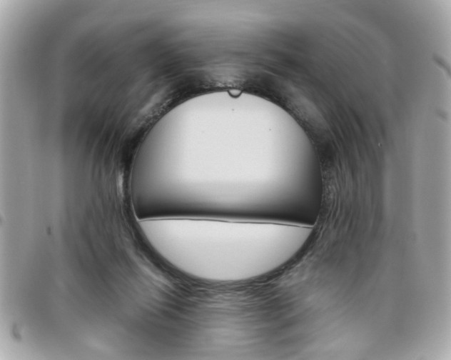 X0000096440262200801241124