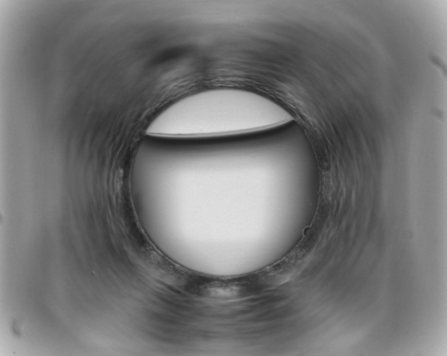 X0000096440263200801241124