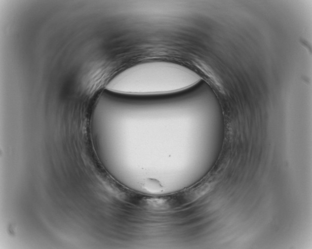 X0000096440265200801241124