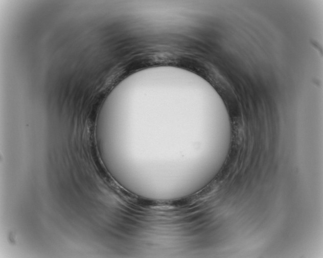 X0000096440266200801241124