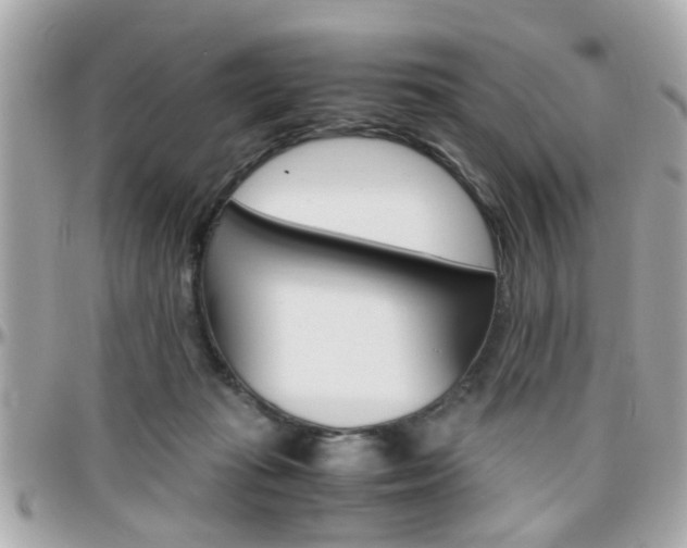 X0000096440269200801241124