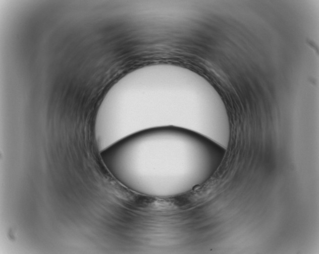 X0000096440270200801241124