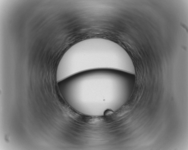 X0000096440274200801241124