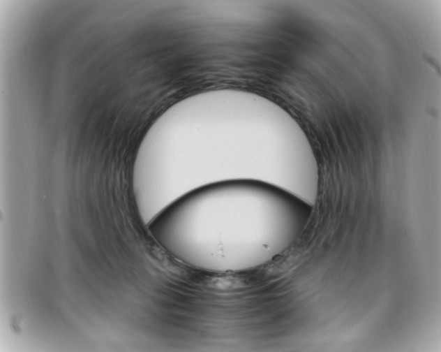 X0000096440275200801241125