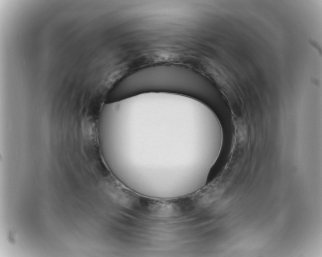 X0000096440276200801241125