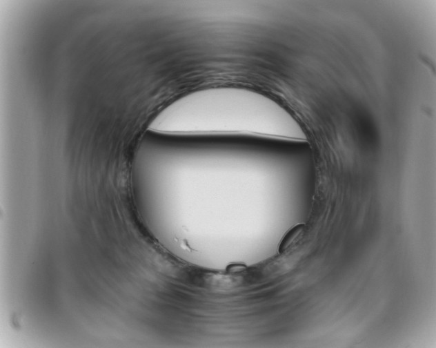 X0000096440277200801241125
