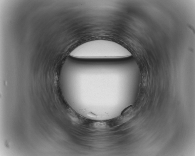 X0000096440279200801241125