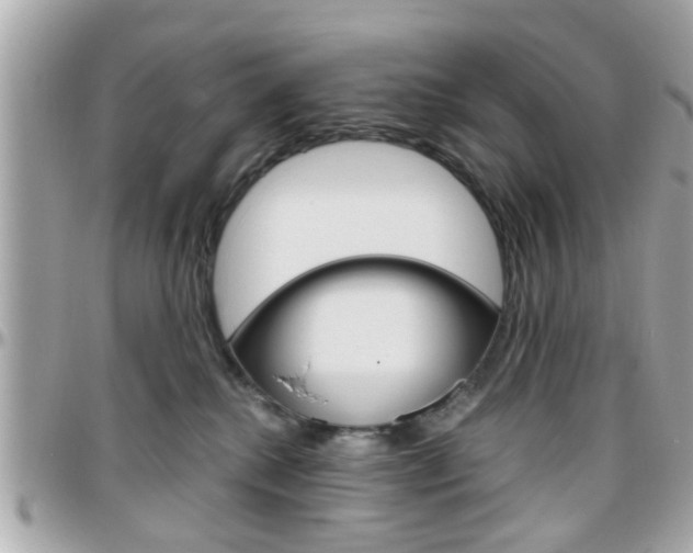 X0000096440280200801241125