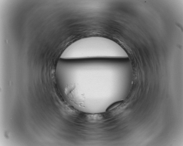 X0000096440281200801241125