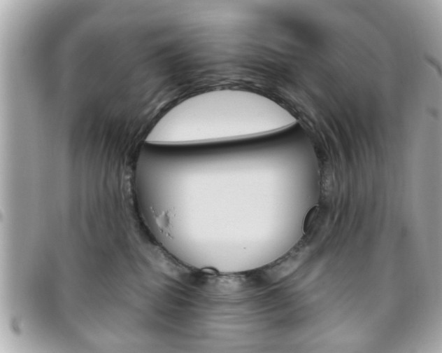 X0000096440282200801241125