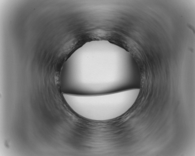 X0000096440284200801241125