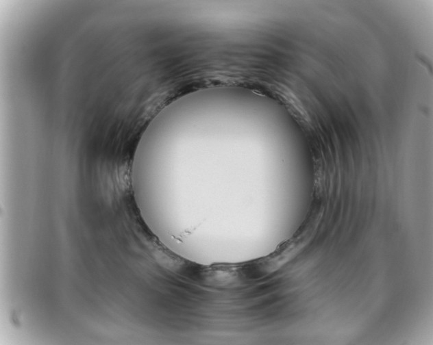 X0000096440285200801241125