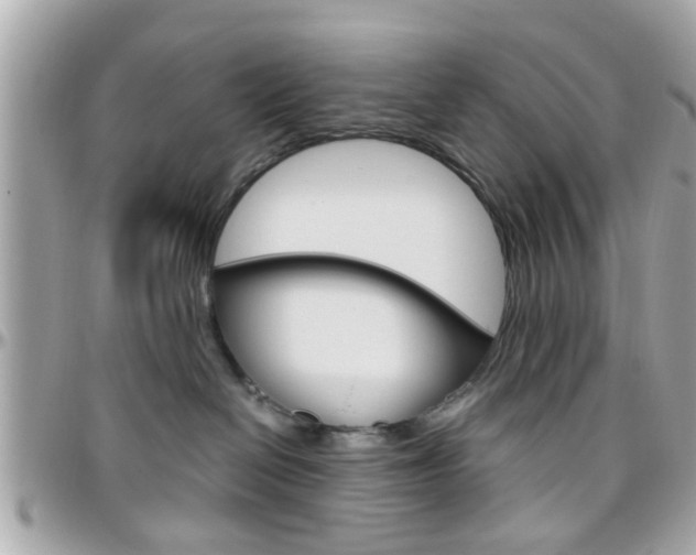 X0000096440286200801241125