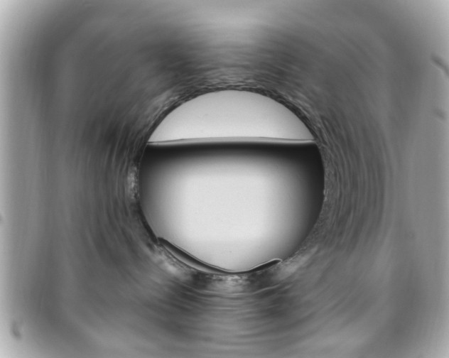 X0000096440288200801241125