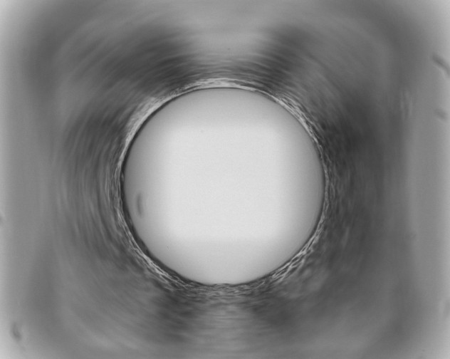 X0000096440289200801241124
