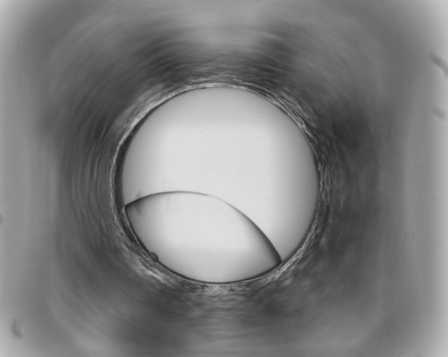 X0000096440290200801241124
