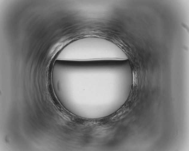 X0000096440291200801241124