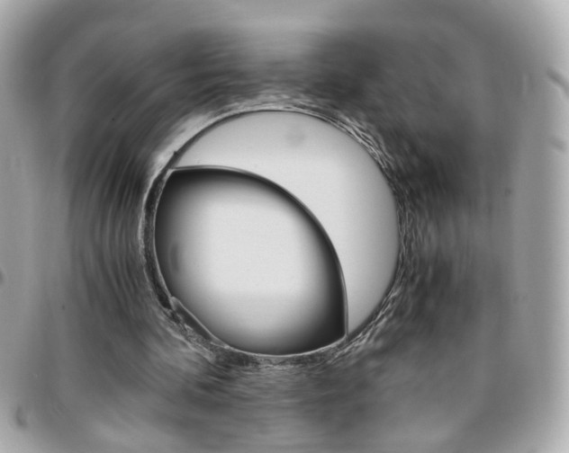 X0000096440292200801241124