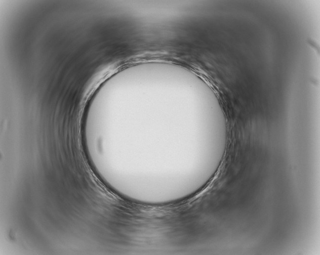 X0000096440293200801241124