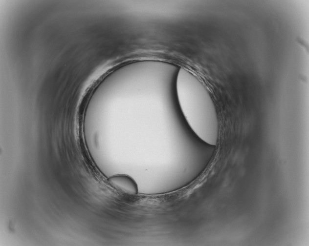 X0000096440294200801241124