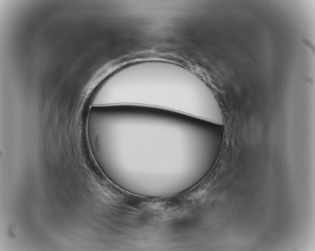 X0000096440295200801241124