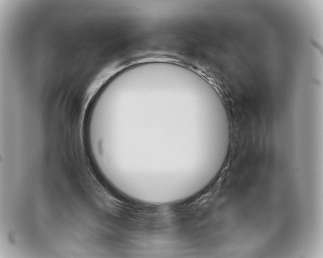 X0000096440296200801241124