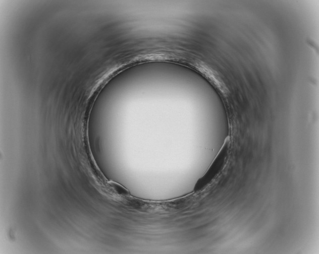 X0000096440297200801241124
