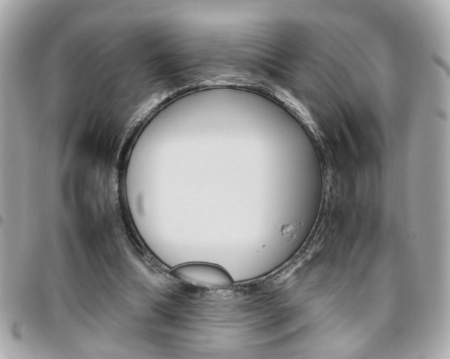 X0000096440298200801241124