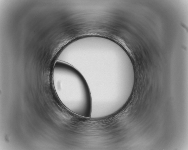 X0000096440299200801241124
