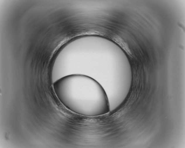 X0000096440300200801241124