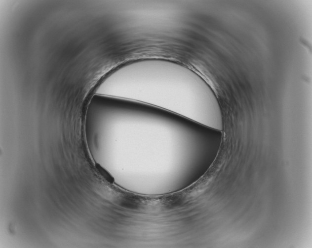 X0000096440301200801241124