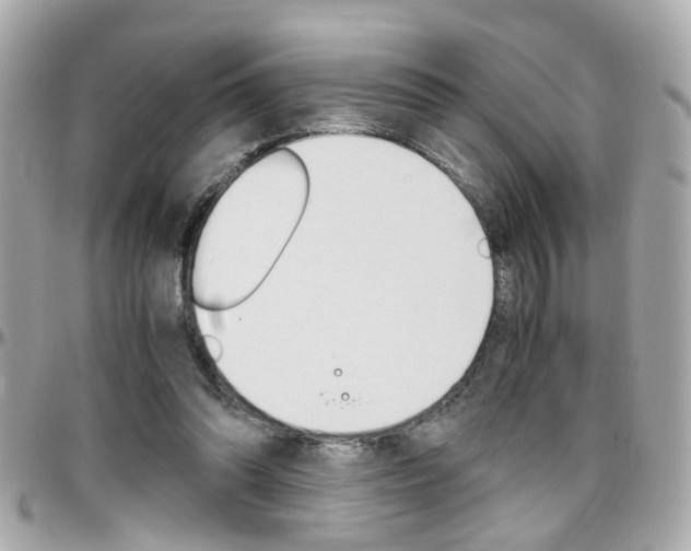 X0000096440302200801241124