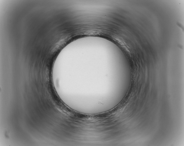 X0000096440303200801241124