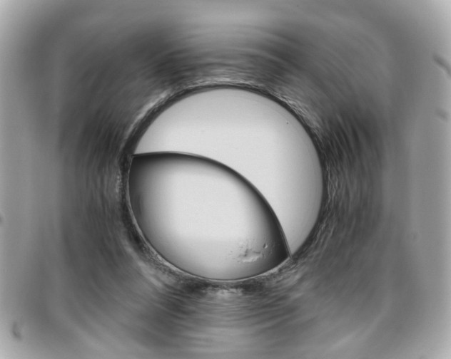 X0000096440304200801241124