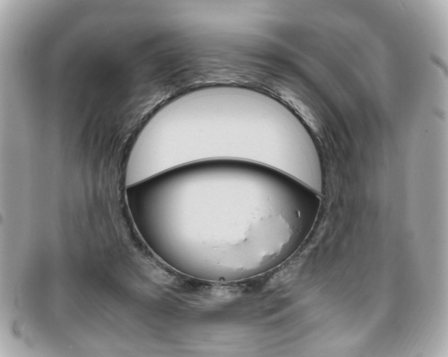 X0000096440305200801241124