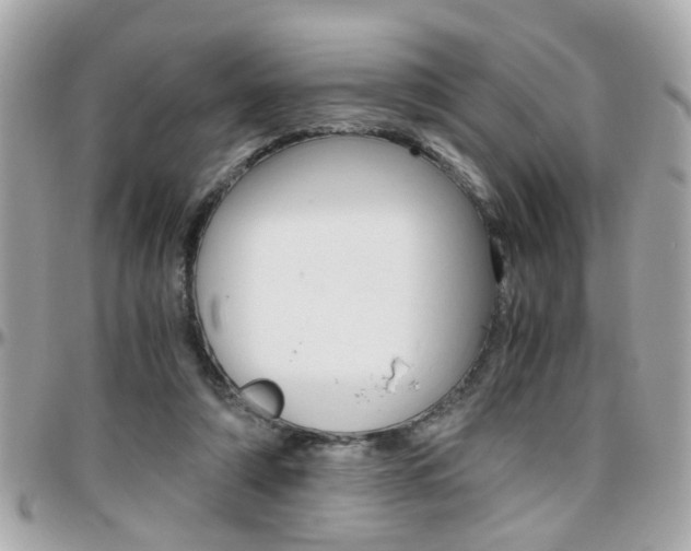 X0000096440306200801241124