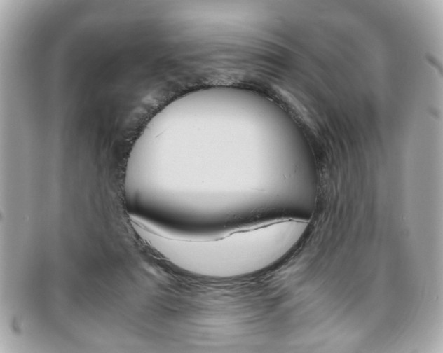 X0000096440307200801241124